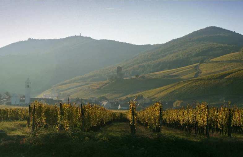 Cadeau dégustation Route d'Alsace