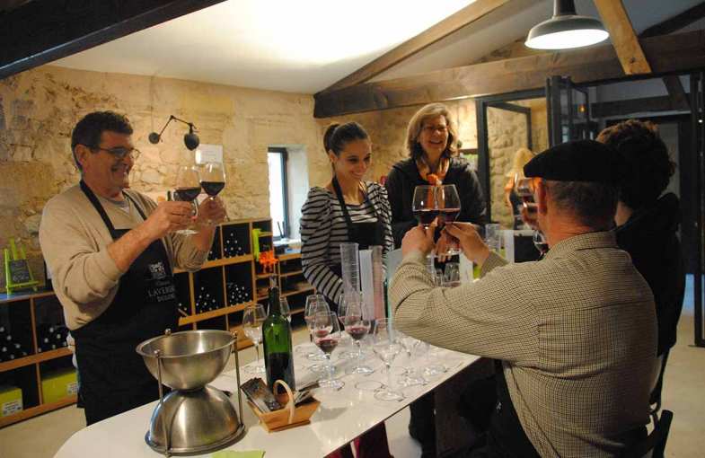 Stage oenologique - Demi-journée dans le vignoble