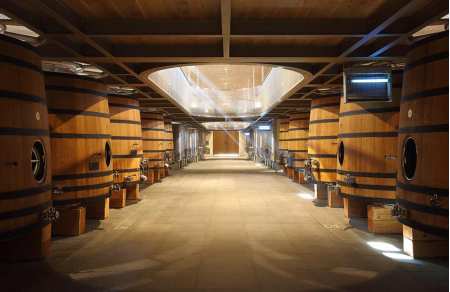 Visite domaine viticole Saint-Emilion