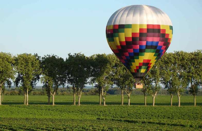 Burgundy Wine Trip