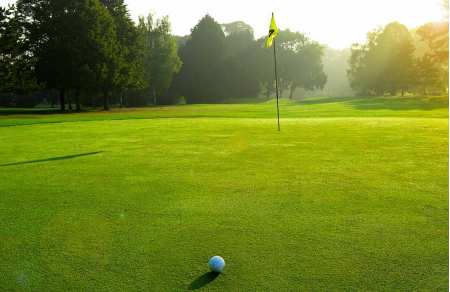 Wine and golf in Champagne