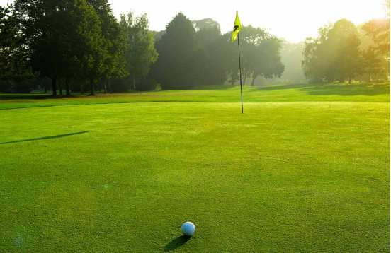 Wine and golf in Champagne