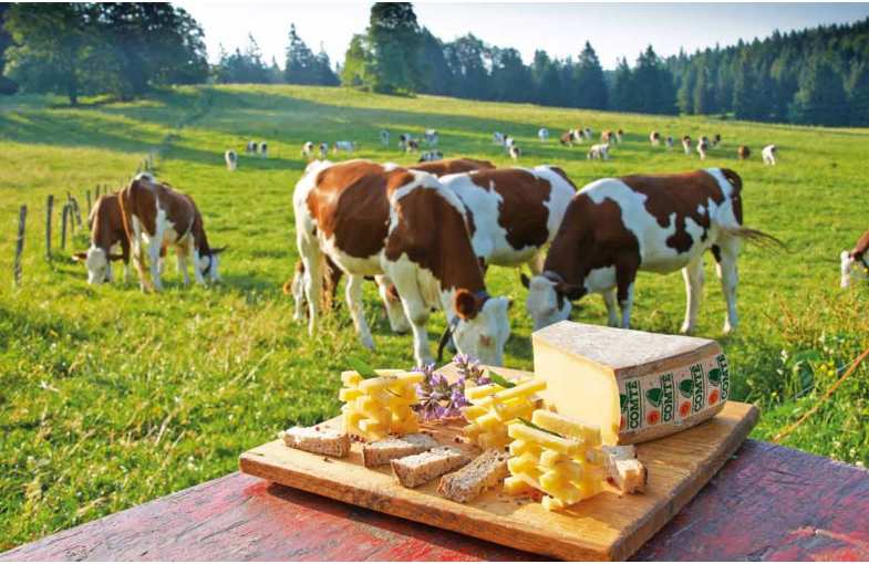 Séjour gourmand Jura