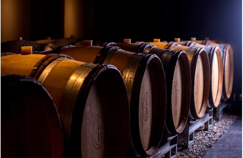 Séjour dégustation de champagnes à Epernay