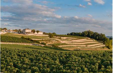 Wine Day in Saint-Emilion and Pomerol