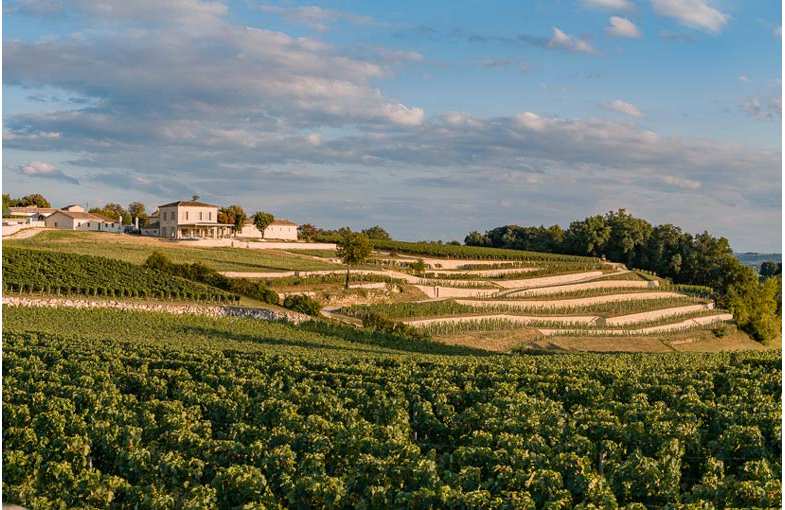 Journée Saint-Emilion et Pomerol