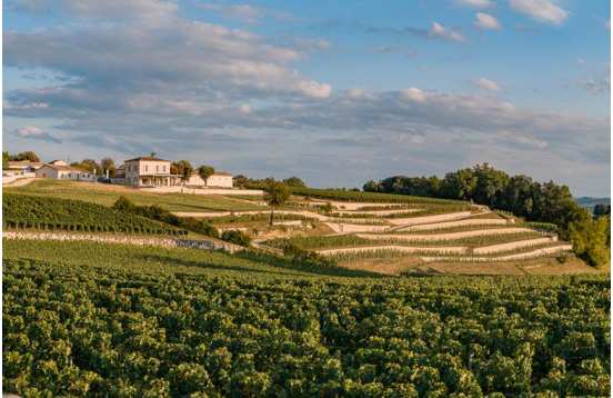 Journée Saint-Emilion et Pomerol