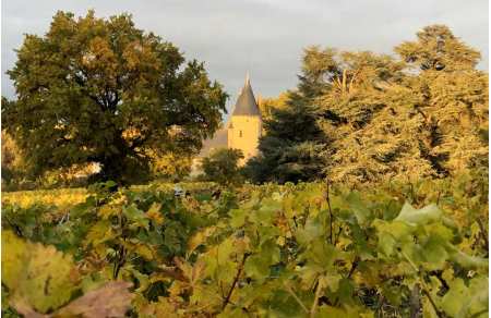 Unusual night in the Sancerre vineyard