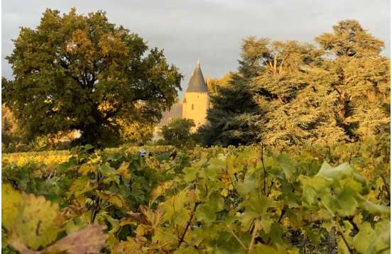 Unusual night in the Sancerre vineyard