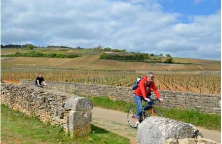 Séjour biologique autour de Beaune