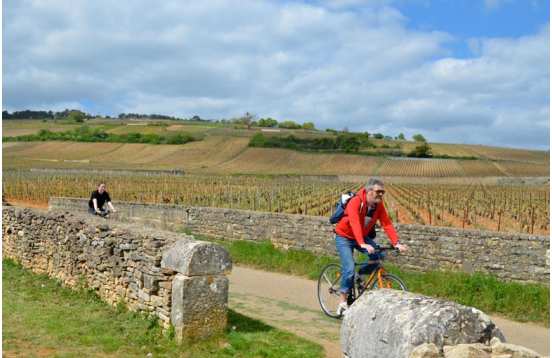 Séjour biologique autour de Beaune