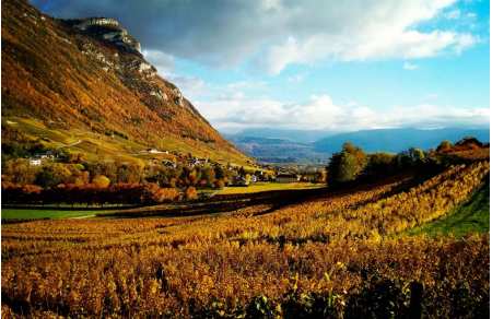 Wine trip near Chambery