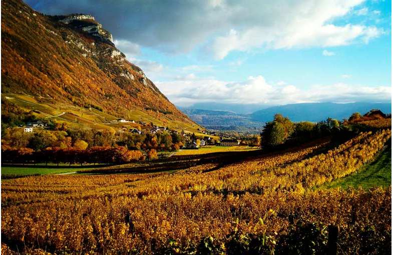 Wine trip near Chambery