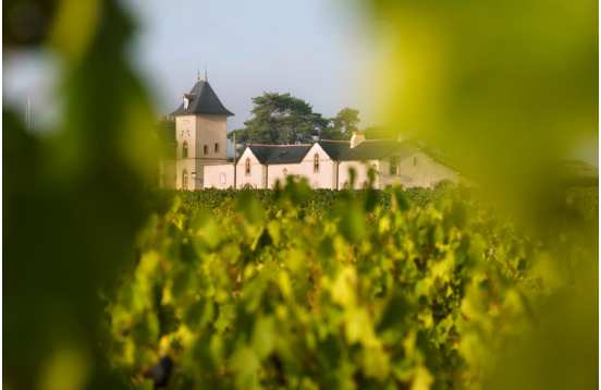 Visits to wineries in Anjou - Loire Valley