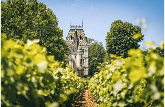 A day on the Burgundy Wine Route