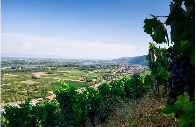 Journée en Vallée du Rhône septentrionale