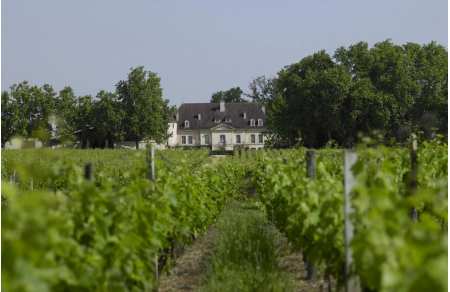 Graves and Pessac-Leognan day