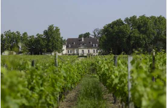 Journée Graves et Pessac-Léognan