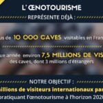 Les mesures en faveur du développement de l’oenotourisme