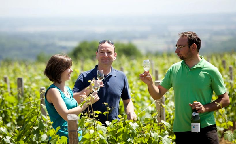 Domaine Joseph Lafarge - Dégustation