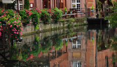 Visite de Colmar en barque sur la Lauch