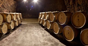 Maison Bouvet Ladubay - Cellar