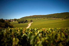 Burgundy Wine Discovery Gift Box