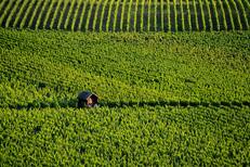 Coffret séjour dans le vignoble bordelais