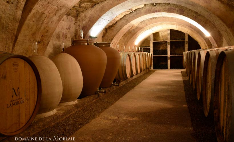 Domaine de la Noblaie - Cellar