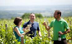 Domaine Joseph Lafarge - Domaine près de Macôn