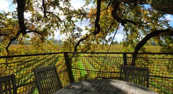 Château de la Romaningue - Terrasse et vue