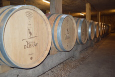 Winery in Beaune