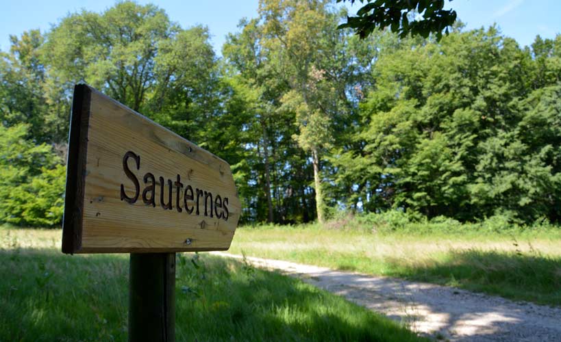 Château de la Romaningue - Cabane Sauternes