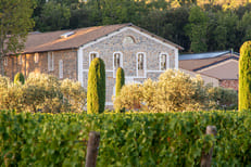 wine route of the Green Provence