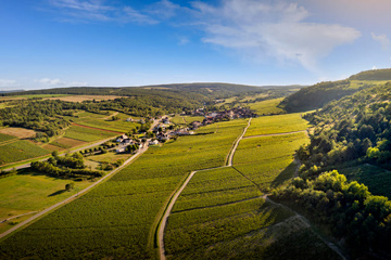 Route des vins de Bourgogne