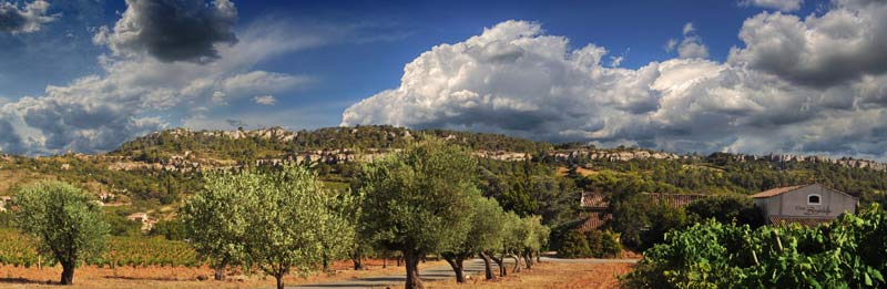 Vignoble du Languedoc - Saint-Chinian