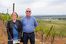 Visite avec une vigneron en Alsace