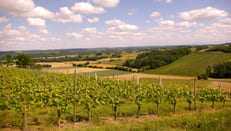 Week-end vin - Gers et Hautes-Pyrénées