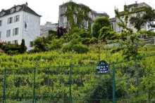 wine tourism in Paris