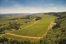 œnotourisme en Bourgogne