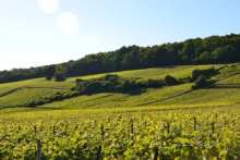 wine tourism in Champagne